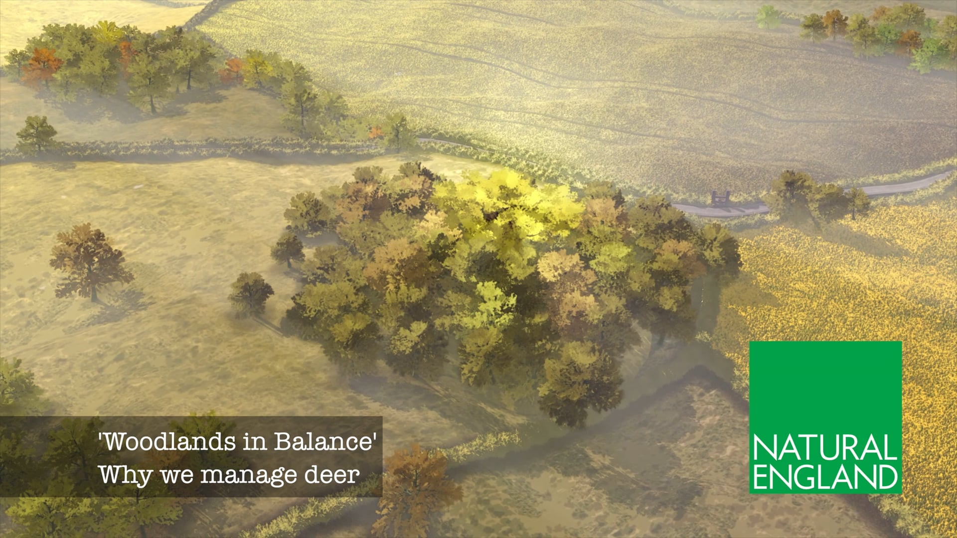 Woodlands in Balance animation frame
